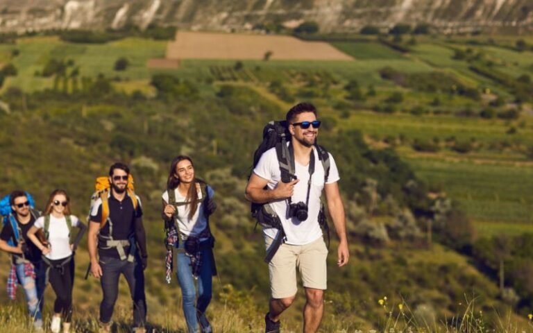 Walk Journey Planner