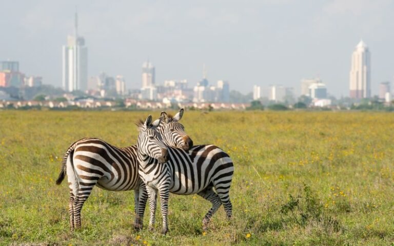 Yashomati National Park travel guide