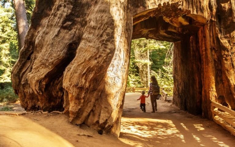 Yosemite Tourism