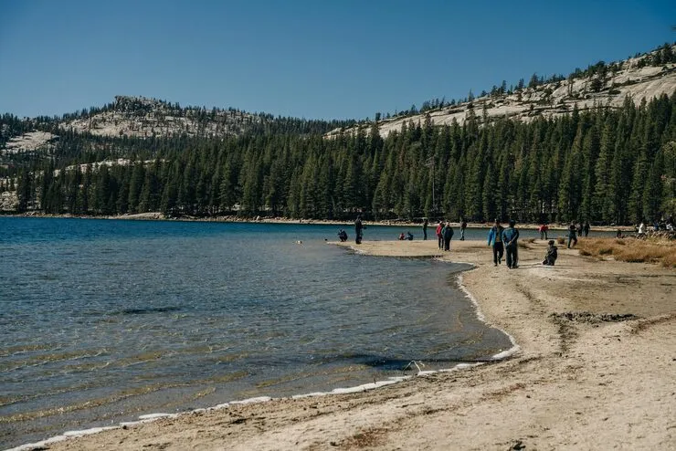 Bass Lake CA cabins