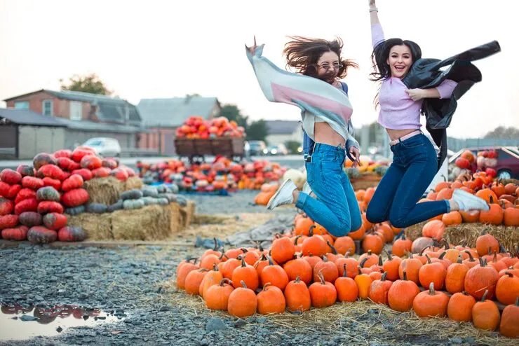 best activities in Santa Fe