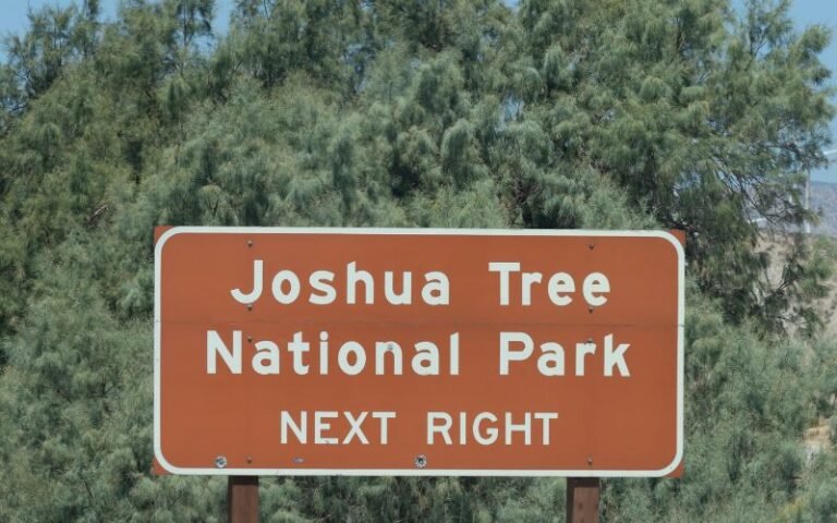 Joshua Tree camping