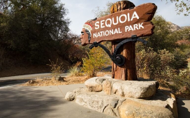 Sequoia Forest Park