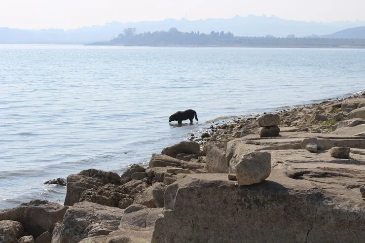Sleeping Bear Dunes National