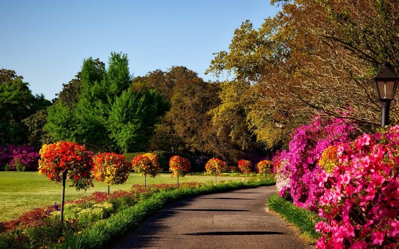 Things to Do in Mobile, Alabama