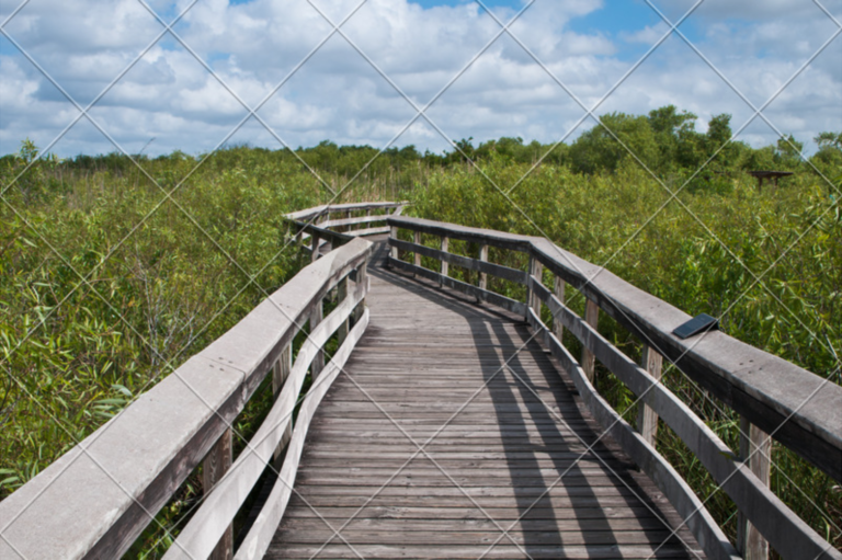 Anhinga Trail