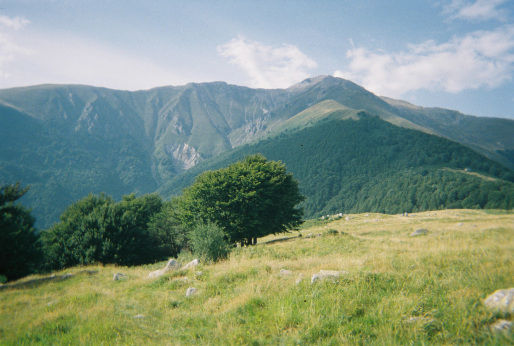 The greenery mountains are shows in the picture